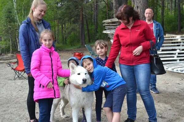 Питомник иркутск сайт. К-9 питомник собак Иркутск. Приют к9. К9 Иркутск. Иркутск волонтеры животных.