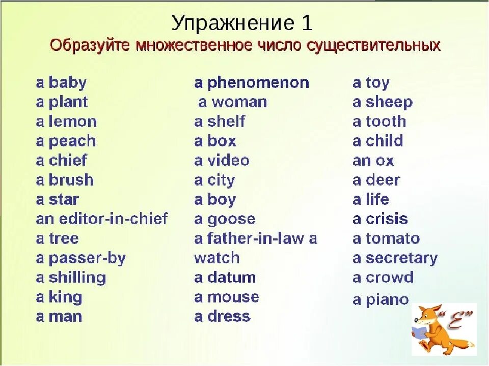 Fly множественное. Множественное число существительных задания. Задания на множественное число в английском. Существительные во множественном числе в английском языке 2 класс. Множественное число в английском языке упражнения 4 класс.