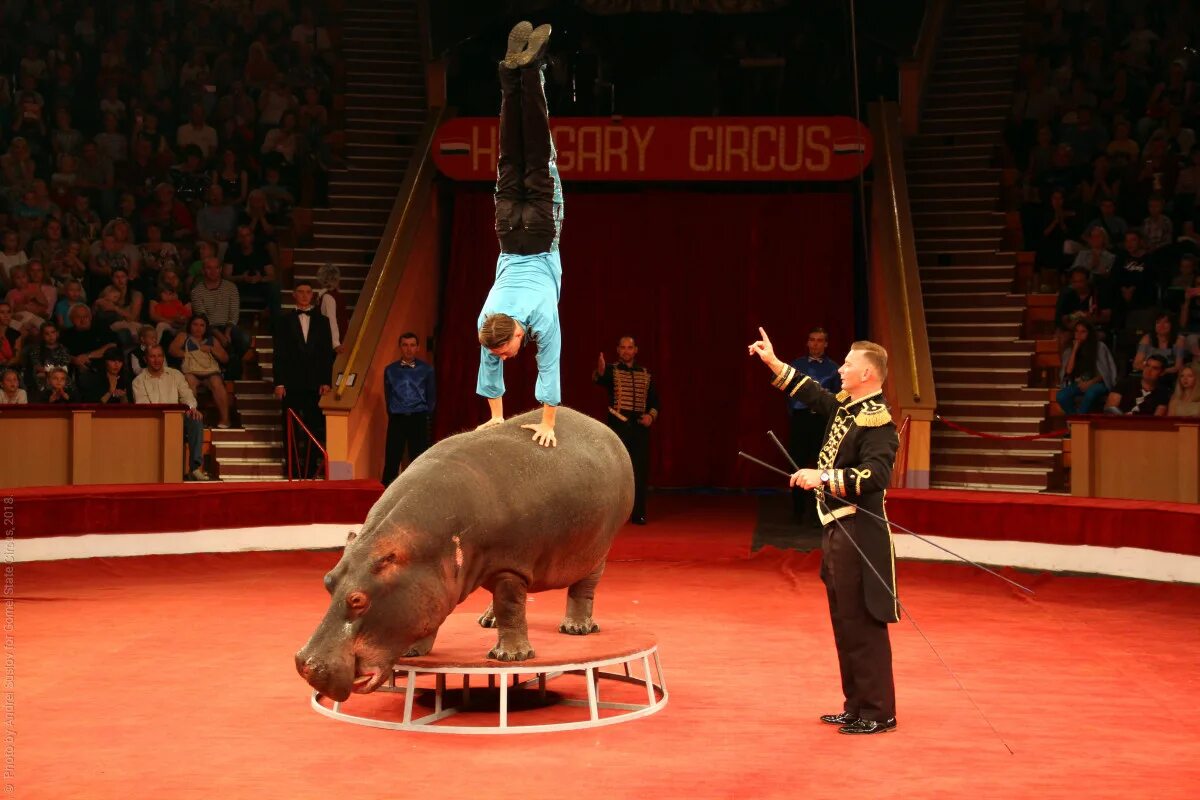 Сайт государственного цирка