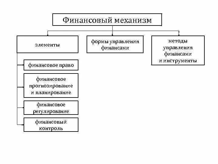 Элементы государственного финансового контроля. Элементы фин контроля. Элементы финансового механизма. Взаимосвязь элементов финансового механизма. Финансовая система россии финансовый контроль