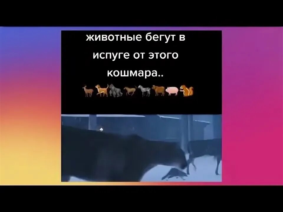 Все животные бегут в испуге от этого кошмара.