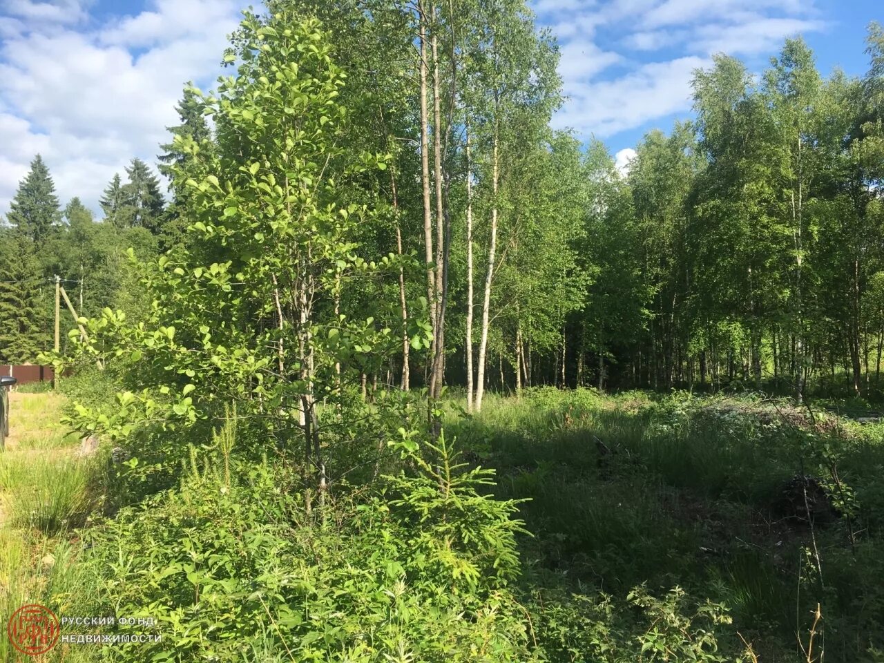 Садоводство Пульман. Поселок Пульман Ломоносовский район. Пгт большая Ижора. Участок большая Ижора. Купить участок ижора