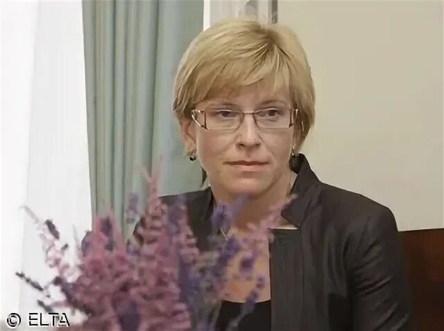 Налоговая литва телефон
