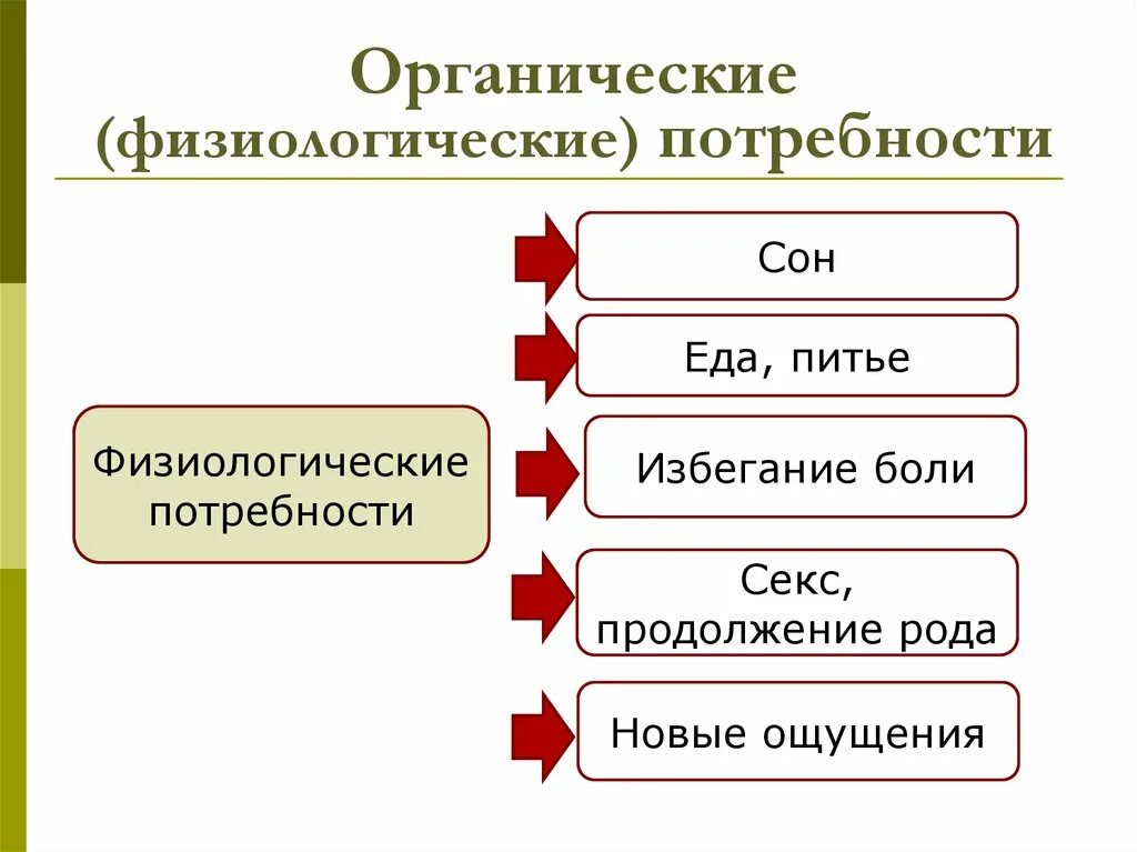 Какие виды потребностей относят к биологическим. Биологические и физиологические потребности. Физиологические потребности примеры. Физ потребности человека. Физиологические потоеб.