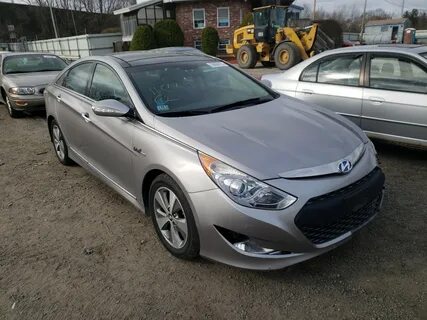 Silver hybrid