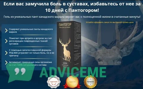 Маралы для суставов