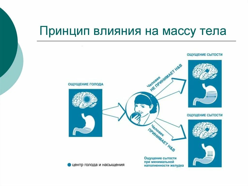 Пропало чувство голода и насыщения. Принципы влияния. Принцип работы влияния на массу. Ощущения сытости и голода.