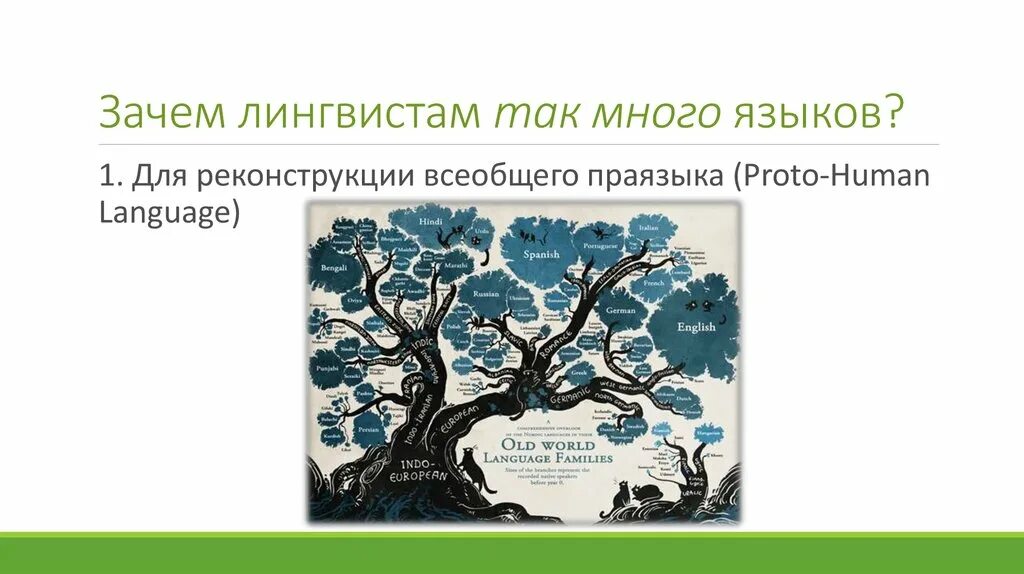 Почему появилось множество. Реконструкция праславянского языка. Праязык. Зачем лингвисту знать психологию. Праязык почему а и когда о.