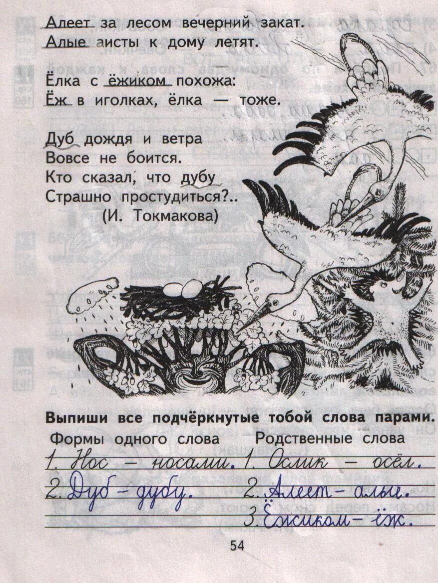Русский язык 1 часть стр 54
