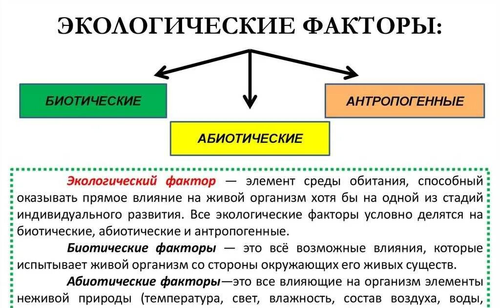 Экология и ее значение 9 класс. Абиотические факторы- это экологические факторы среды. Экологические факторы биотические и антропогенные. Примеры экологических факторов 5 класс биология. Перечислите экологические факторы среды.