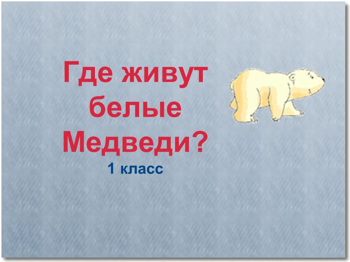 Где живут белые медведи 1 класс. Где живут белые медведи 1 класс окружающий мир. Белый медведь окружающий мир 1 класс. Окружающий мир где живут белые медведи.