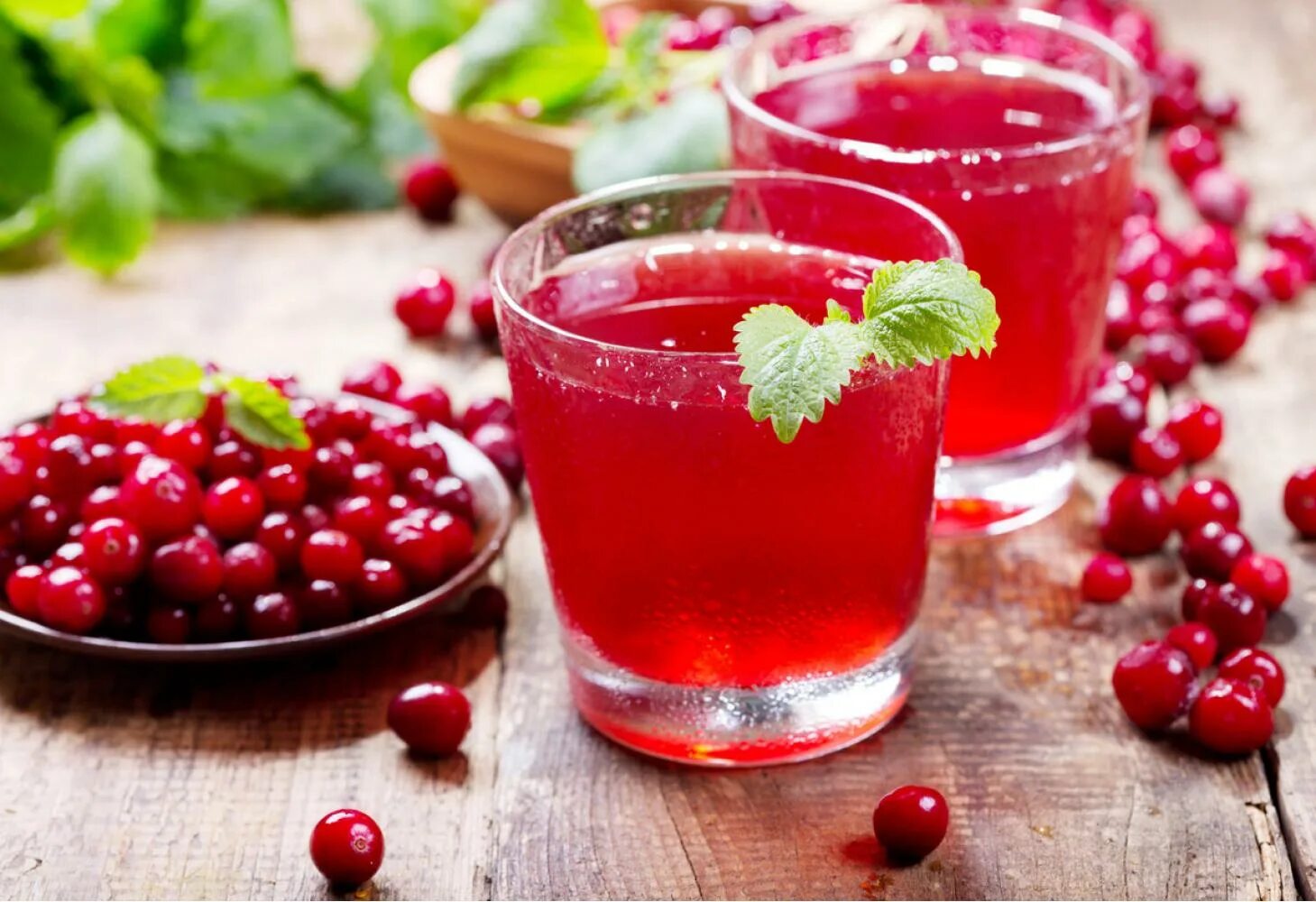 Клюквенный морс cranberry. Ягодный морс. Брусничный морс польза и вред. Морс клюквенно-брусничный. Морс клюква брусника.