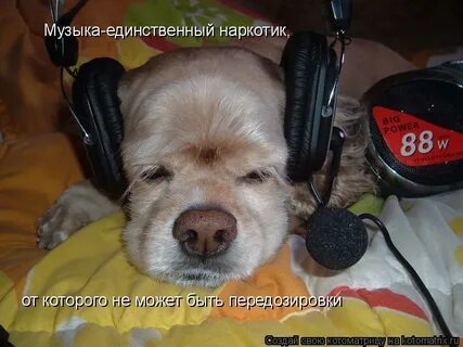 Ну просто песню