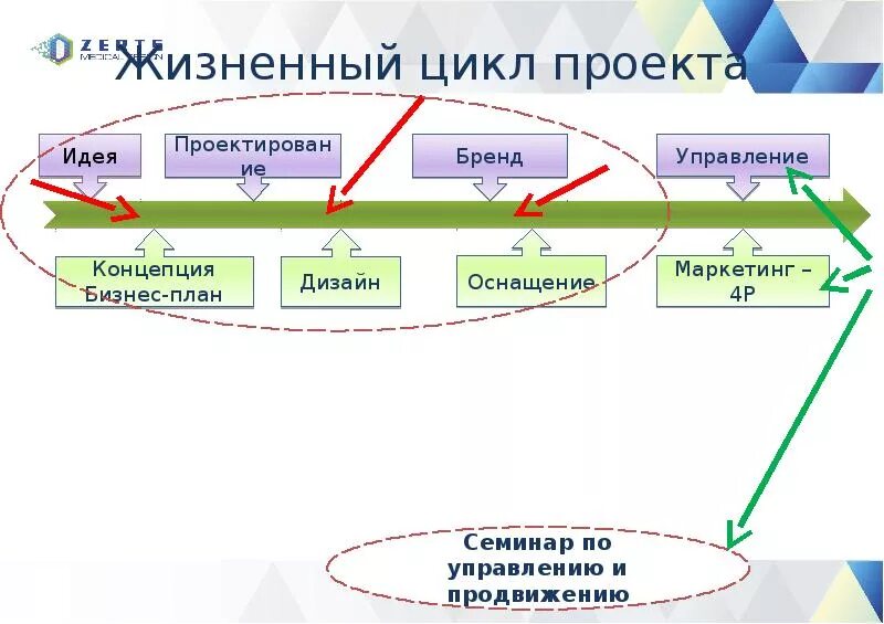 Картинки ЖИЗНЕННЫЙ ЦИКЛ 5 ЭТАПОВ