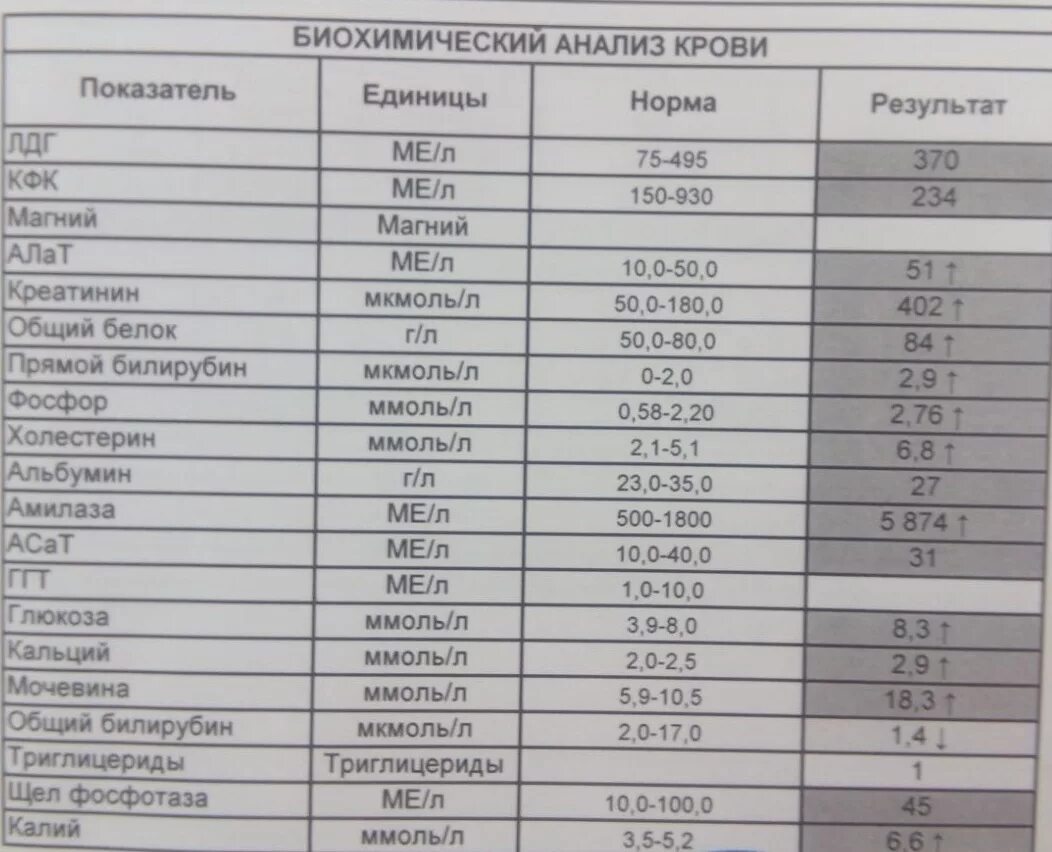 Нормальные показатели биохимии. Биохимия крови показатели нормы. Биохимические анализы крови норма и расшифровка. Норма биохимического показателя крови биохимического анализа. Нормы крови биохимия анализ у взрослого.