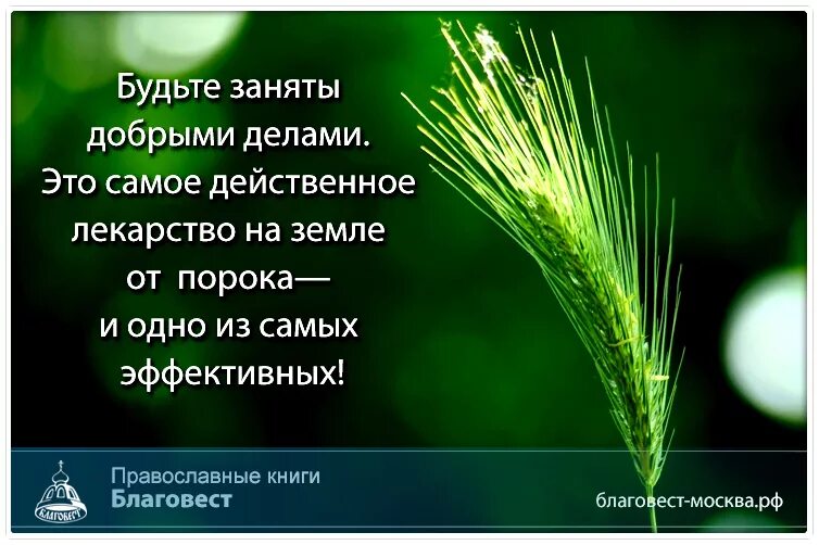 Будьте заняты цитаты. Природа любовь и чувство юмора. есть три незаменимых лекарства на земле природа любовь и чувство. есть три незаменимых лекарства на земле. будьте заняты это самое дешевое лекарство от депрессии.