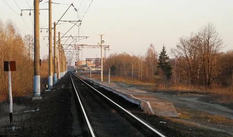 Пункта брянск