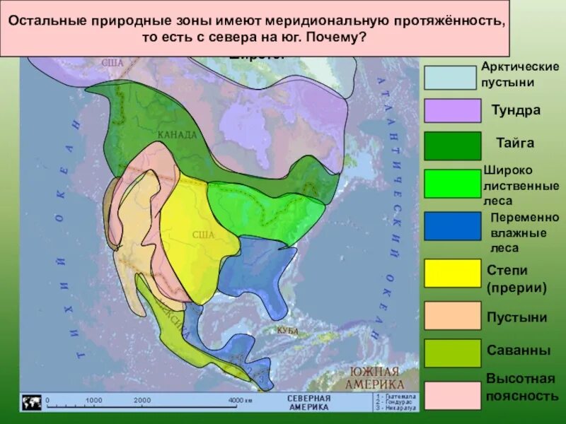 Северные материки 7 класс природные зоны. Природные зоны в арктическом поясе Северной Америки. Климатические пояса и природные зоны Северной Америки. Природные зоны Северной Америки с севера на Юг. Природные зоны Северной Америки 7 класс.