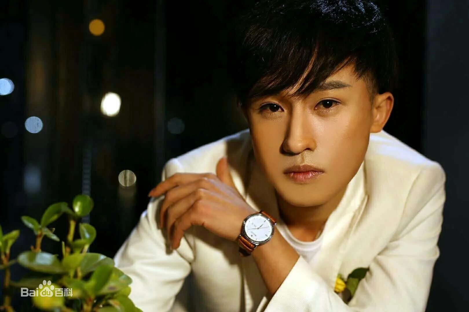 Ци жун обои. Чжан ци. Zhang qi. Красивые азиатки. Чжан ци.