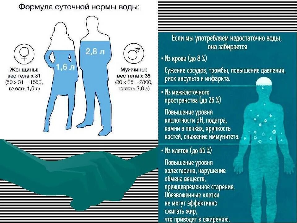 Норма воды в спб. Норма воды на человека в сутки. Суточная норма воды. Норма воды в человеческом организме. Вода в организме человека норма.