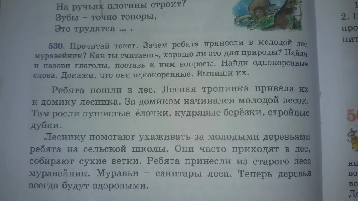 Текст почему 18. Изложение новый Муравейник 3 класс. Муравейник текст для чтения 4 класс. Прочитайте текст почему он называется обыкновенная. 19 Прочитай текст.