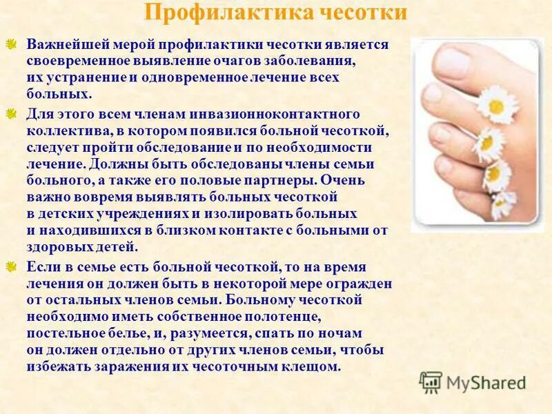 препараты при чесотке. чесотка симптомы и лечение диф. мазь для профилактики чесотки. чесотка проявления профилактика. чесотка симптомы и лечение диф.