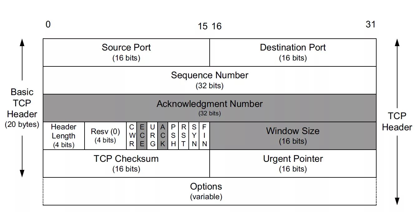 Bits basics