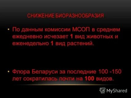 В среднем ежедневно