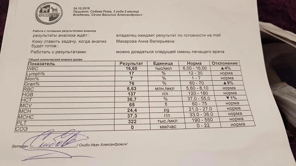 Анализ второго тома. Название анализов крови. Результат исследования крови. Общий анализ крови на онкомаркеры. Бланк анализа на онкомаркеры.