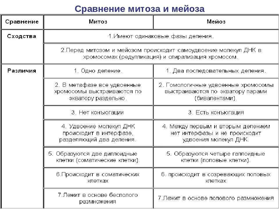 Сравнение митоза и мейоза таблица. Сравнительная характеристика процессов митоза и мейоза. Сравнительная таблица митоза и мейоза сходства и различия. Сравнительная характеристика митоза и мейоза. Сходства и отличия митоза и мейоза таблица.