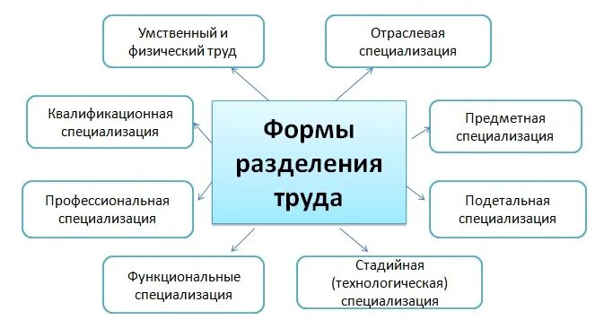 Система специализации