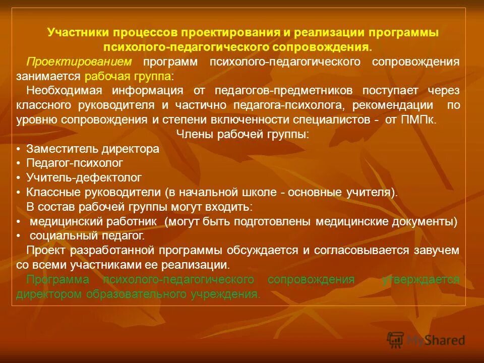 Информационноесоправождение проекта. Последовательность действий при проекте. Программы сопровождения проекта программы. Программа сопровождения. Виды педагогических программ сопровождения.