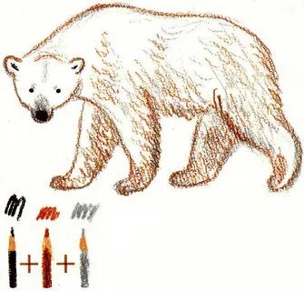 Как рисовать медведя