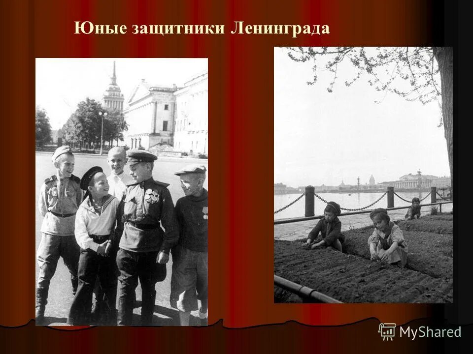 клятва бойцов у могилы суворова. солдаты ленинград 1941. защитники ленинграда в блокаду. защитники ленинграда презентация. фотограф борис кудояров.