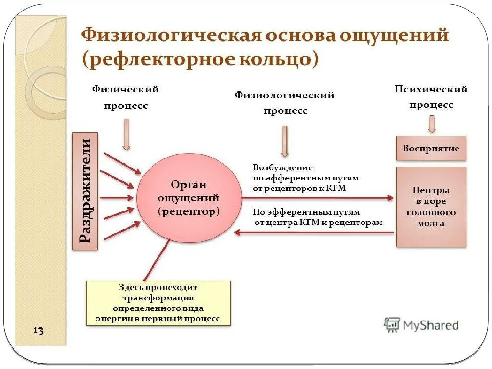 Суть ощущения состоит. Физиологическая основа ощущений в психологии. физиологическая основа процесса ощущения. понятие об ощущении физиология. процессы ощущения в психологии.