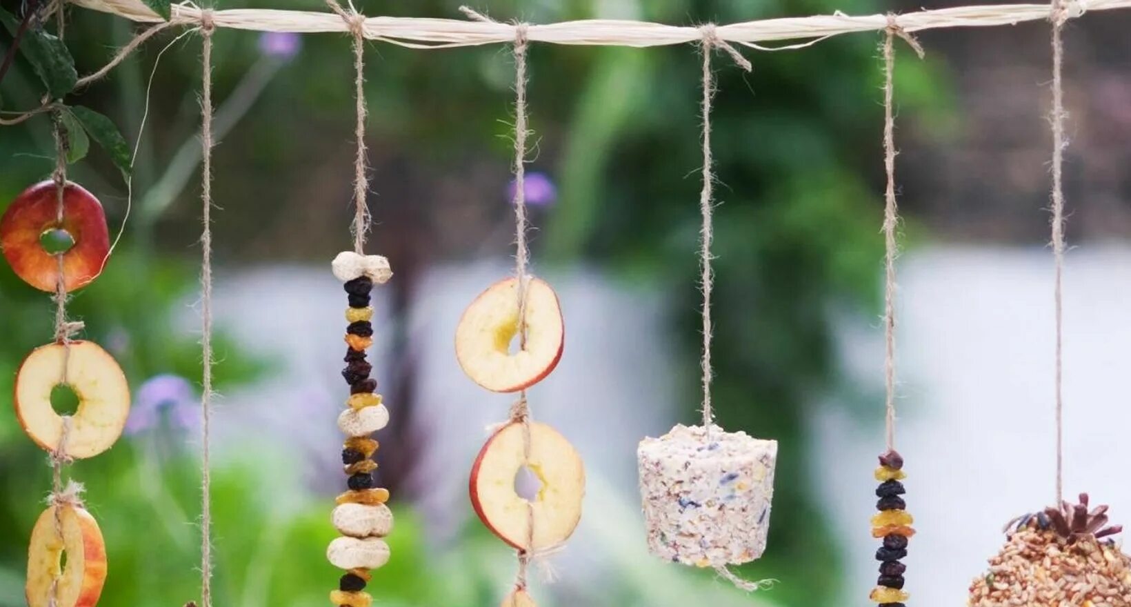 Эко кормушка. Съедобное украшение для птиц. Мастер класс эко кормушка. Кормушка для птиц из бублика. Мастер класс эко кормушка.