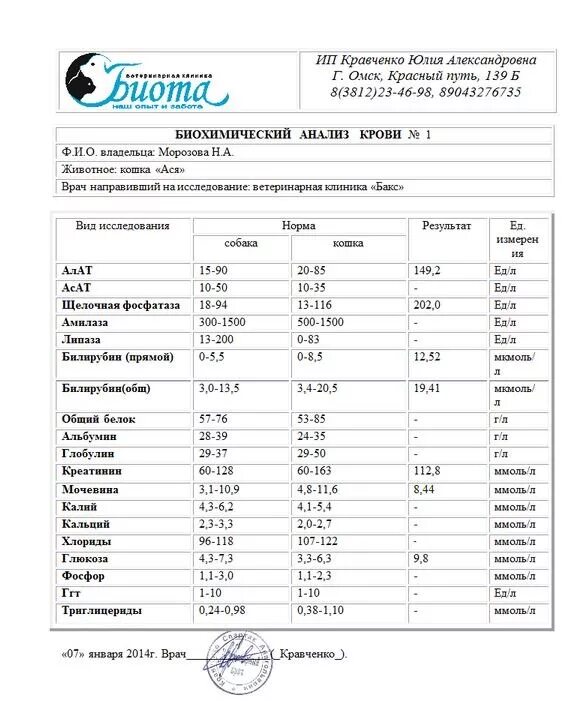 Щелочная фотосфаза норма. Щелочная фосфатаза норма у женщин. Норма щелочной фосфатазы у детей. Щелочная фосфатаза щф норма. Щелочная фосфатаза (щф).