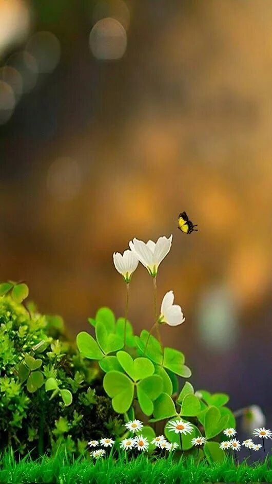 мотивационные картинки с добрым утром. прекрасная жизнь начинается с прекрасных мыслей. позитивные мысли с утра. хороший день. открытки с добрым утром с природой.