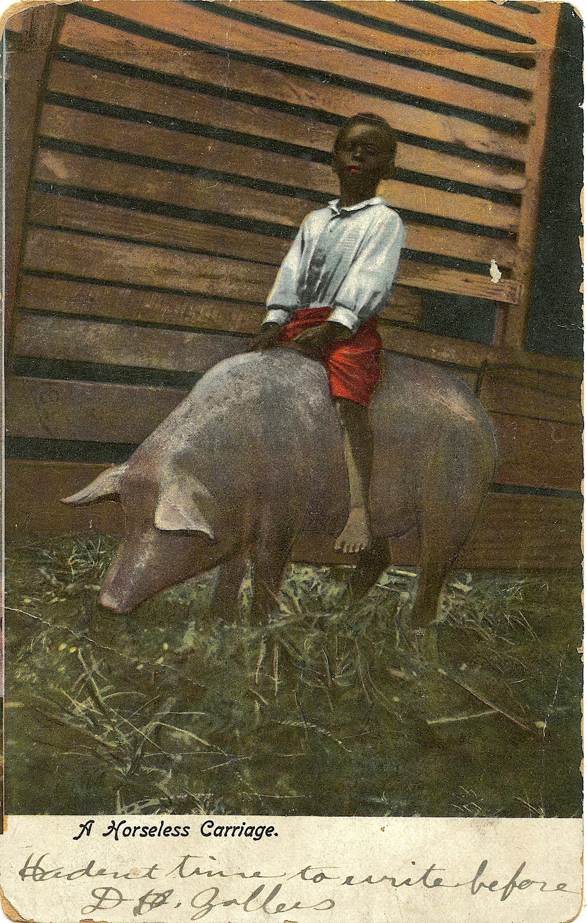 Pig riding
