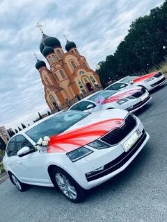 Машин губкин