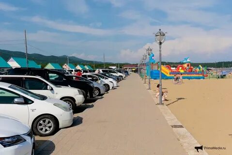 Шамора веб