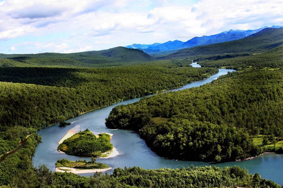 Притоки камчатки. Река камчатка притоки. Река авача камчатский край. Притоки камчатки. Река быстрая камчатка.