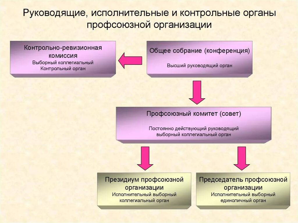 Руководящие органы общественной организации. Руководящие органы. Контрольно-ревизионные органы. Руководящие органы профсоюза. Руководящий орган общественной организации это.