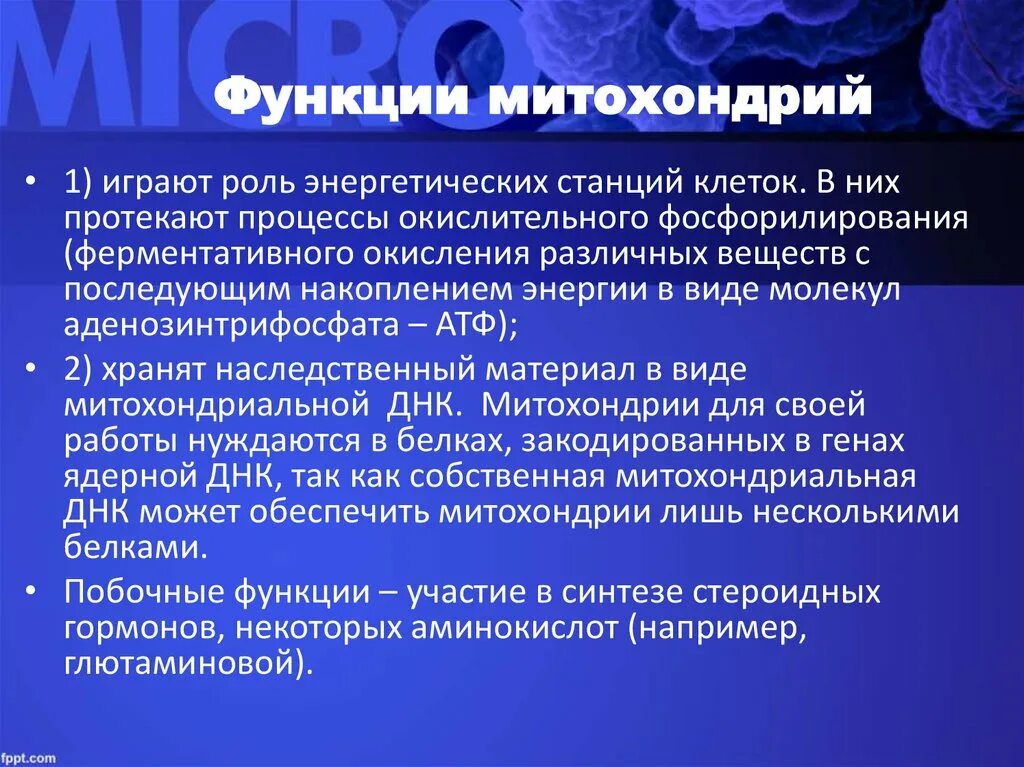 Митохондрии функции. Митохондрии функции в кл н ТКЕ. Роль метохондртй в клетки. Энергетической станцией называют