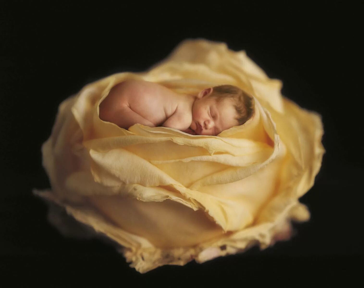 Маленькое большое счастье. Мое маленькое счастье 18. Моё маленькое счастье картинки. Моё маленькое счастье дорама поцелуй. Моё маленькое счастье 1.