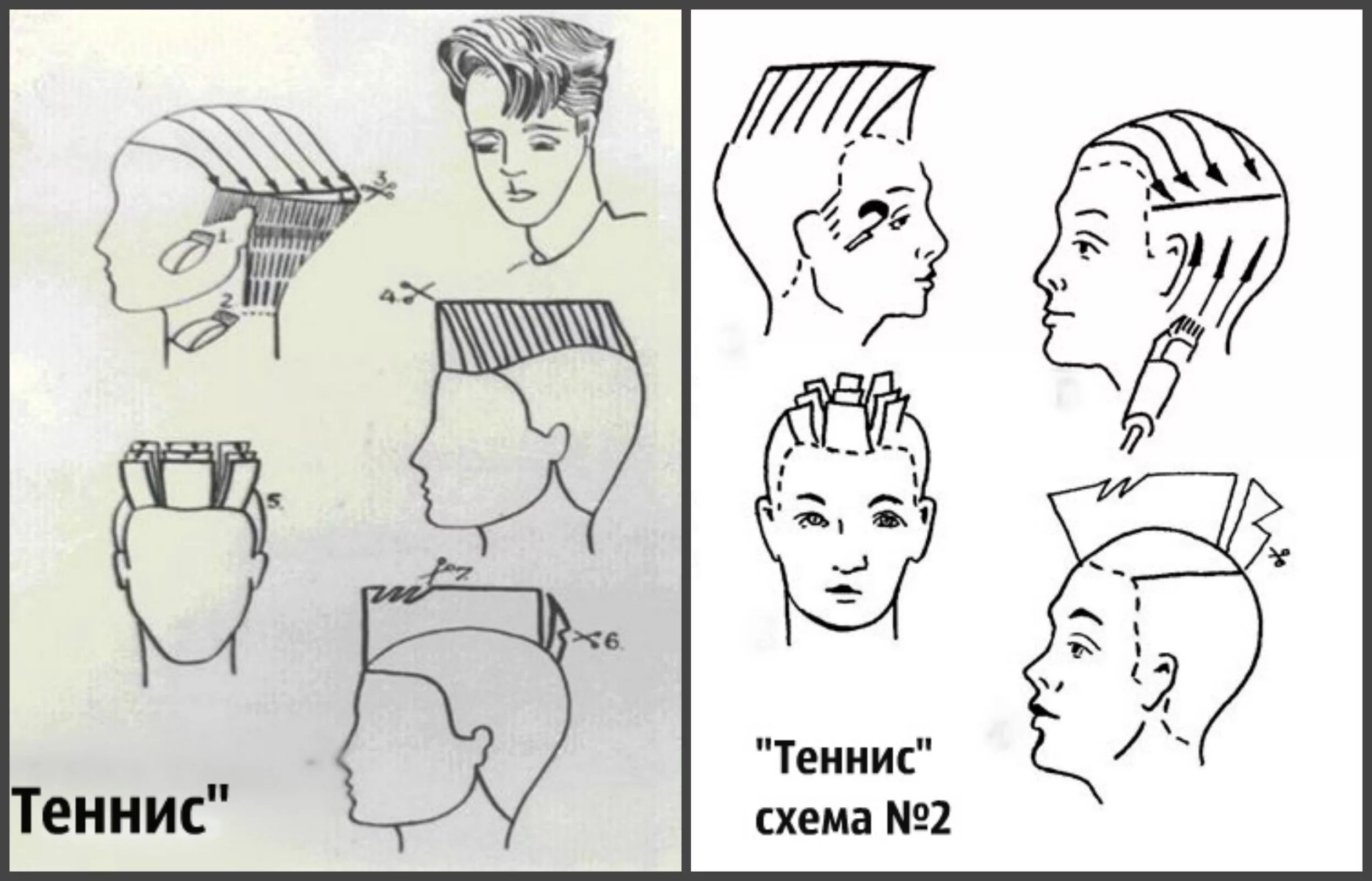 Технология стрижки теннис схема. Технология стрижки теннис пошагово. Стрижка полубокс мужская схема выполнения. Стрижка теннис мужская схема. Технология выполнения мужской стрижки