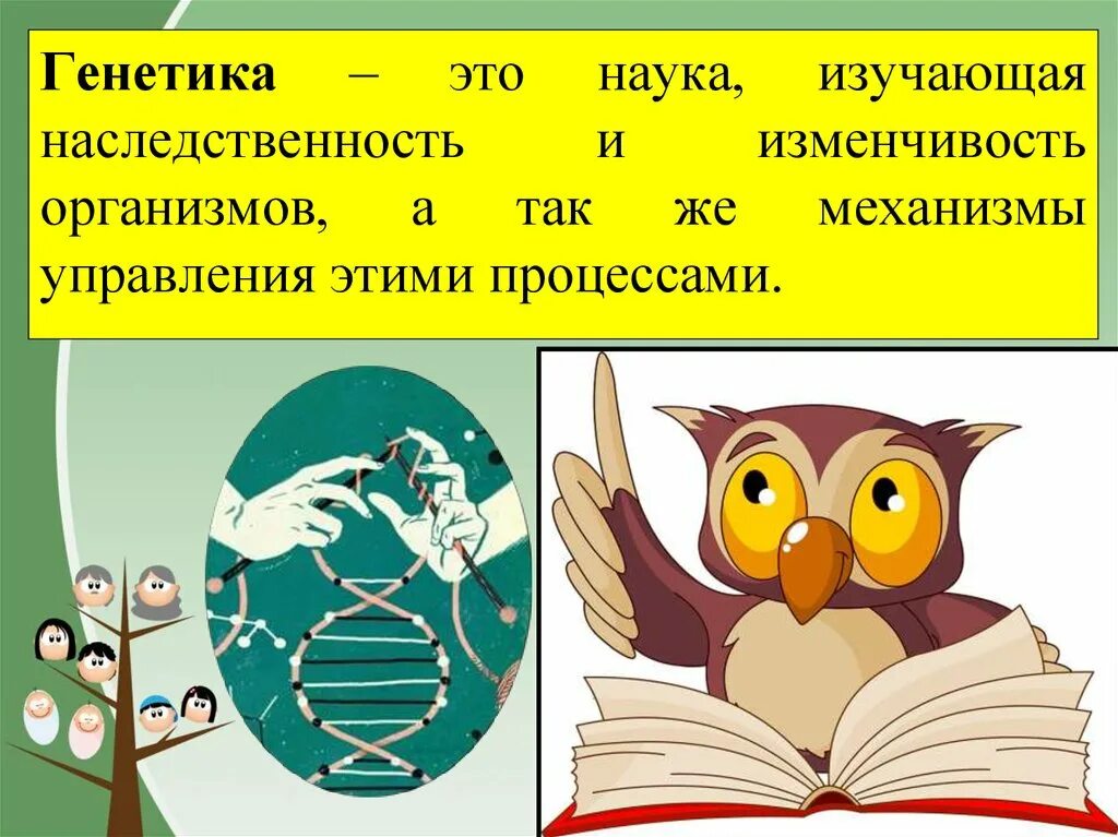 Урок генетика наука о наследственности и изменчивости. Генетика-это наука, изучающая наследственность. Генетика как наука. Что изучает наука генетика. Генетика как наука презентация.