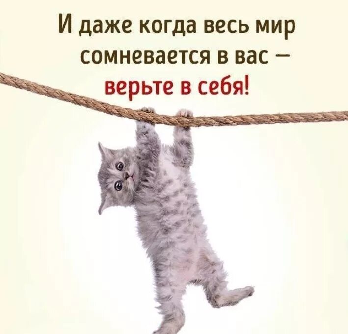 Будь тише без слов. Доброта входит тихо без стука. Принесли радость заходите без стука. Заходите без стука. Счастье без стука.