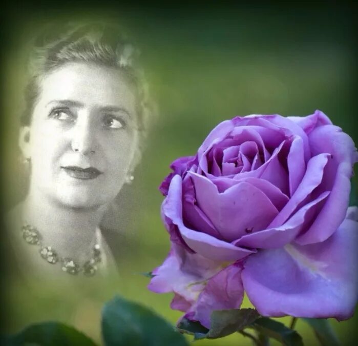 Девушка на фоне звездного неба. Песня забытая звезда. Песня забытая звезда. Песня забытая звезда. Дискотека 90-х обложка.