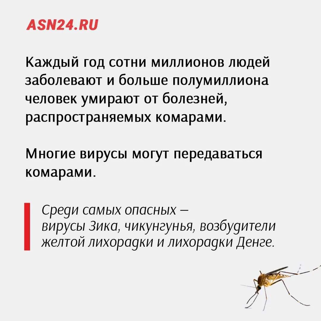 Комары переносчики заболеваний. Комары переносчики болезней. Какие болезни переносят комары. Комары переносят заболевания. Болезни переносимые комарами.